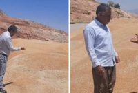 فرماندار شهرستان سیروان از مرکز خرید گندم بازدید کرد