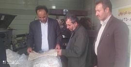 کشاورزان،محصول مازاد بر نیاز خود را به مراکز خرید گندم تحویل دهند