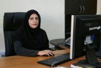 تعداد ۸۰ واحد تولیدی و صنعتی ایلام گازدار شدند