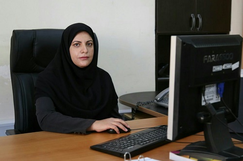 تعداد ۸۰ واحد تولیدی و صنعتی ایلام گازدار شدند