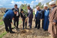 ساماندهی و احیای پارک جنگلی در سیروان ضروری است