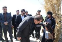 مسائل و مشکلات حوزۀ عشایر با پشت میز نشینی رفع نمی‌شوند