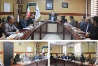 انسجام میان حوزه‌ های مختلف سلامت، در اربعین امسال ستودنی بود
