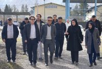 رفع موانع عملیاتی و پشتیبانی، اولویت اصلی شرکت گاز استان ایلام است
